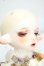 画像3: GEM OF DOLL/ARIES(B.Leg of Lamb) Fullset Y-26-07-28-112-WT-ZY (3)