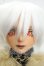 画像1: GEM OF DOLL/Carlos Animal Ver. Fullset Y-26-07-28-111-WT-ZY (1)
