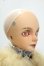 画像3: GEM OF DOLL/Carlos Animal Ver. Fullset Y-26-07-28-111-WT-ZY (3)