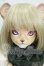 画像1: Dream Valley/Hylander Beast Ver. Y-26-07-28-121-WT-ZY (1)