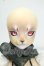 画像2: Dream Valley/Hylander Beast Ver. Y-26-07-28-121-WT-ZY (2)