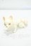 画像2: BLACKBOX/天狐MOCHI Y-26-08-18-128-WT-ZY (2)