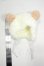 画像2: 1/6ドールサイズ/ヘッドカバー Y-26-08-18-223-WT-ZY (2)