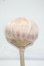 画像1: 6-7inch/ウィッグ Y-26-08-18-397-WT-ZY (1)