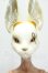 画像1: 1/3カスタムドール/Taru head(DOLLZONE) + Chaos body(Dream Valley)  Y-26-08-25-005-WT-ZY (1)