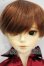 画像1: BJD CROBI/ZION Y-26-08-25-004-WT-ZY (1)