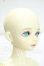 画像2: Myou Doll/1/4 ZUZANA Y-26-10-13-350-WA-ZY (2)