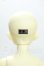 画像4: MYOUDOLL/1/4 Delia Y-26-10-13-349-WA-ZY (4)