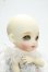 画像2: XAGADOLL/1/8 August Y-26-10-13-297-WA-ZY (2)