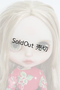 ネオブライス/meru様製カスタム I230716-1018-ZI