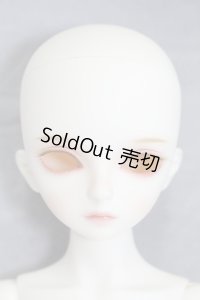DAYDREAM/Cocoヘッド+Fair Ladyボディ I230730-1005-ZI