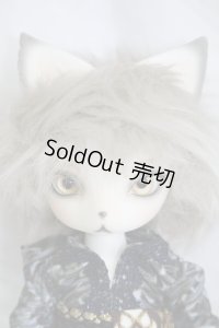 DEARMINE/OZ 〜Festival〜 I230730-1007-ZI