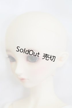 画像3: SDGIRL/ちよ スタンダードモデル I-23-08-13-1001-TO-ZI