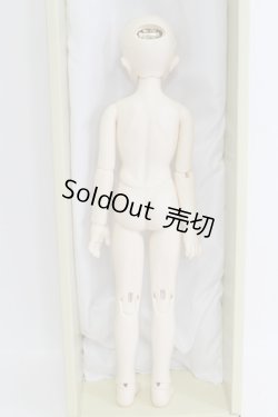 画像7: SDM/コーディネートモデル：F-50 I230813-1002-ZI