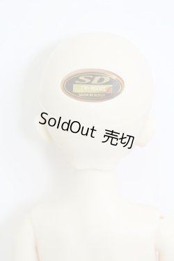 画像3: SDM/コーディネートモデル：F46 I230903-1003-ZI