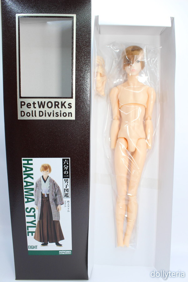 六分の一男子図鑑 1/6男子 袴スタイル エイト 人形 petworks 新品 www 