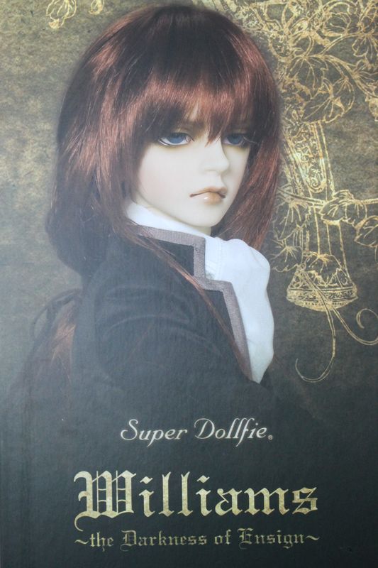 格安SALEスタート】 dollyteriaI221120-1097 SD17BOY ウィリアムズ ヘッド