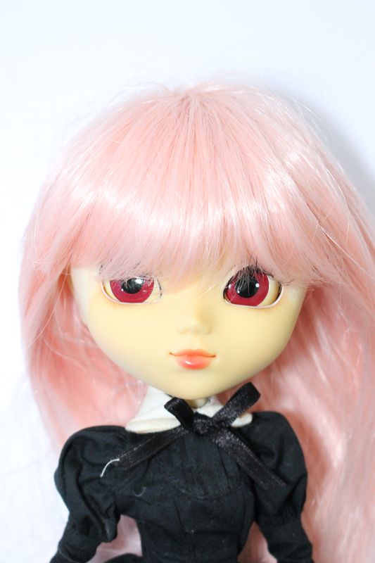 S230118-311 プーリップ/スティカカスタム - ドーリーテリア S230118-311 プーリップ/スティカカスタム - ドーリーテリア
