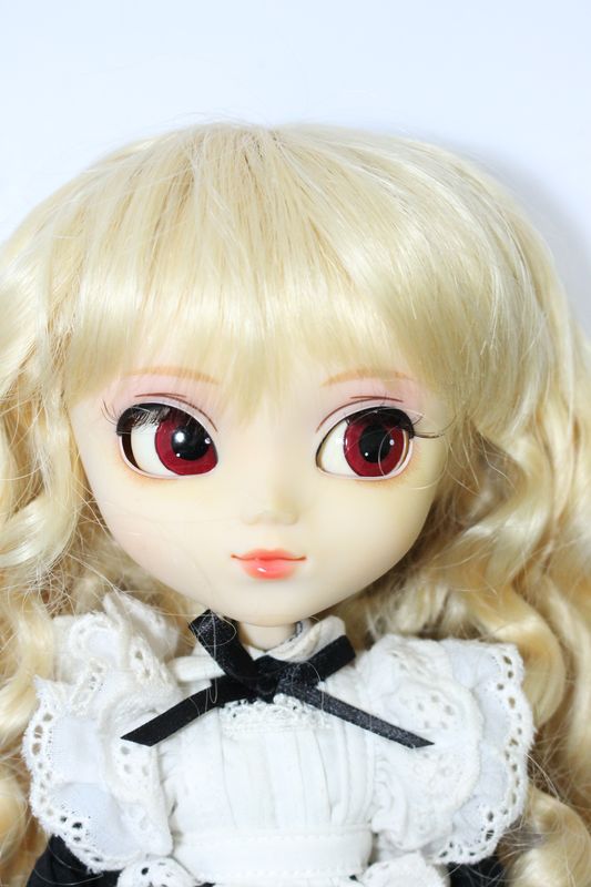 S230118-312 プーリップ/スティカカスタム - ドーリーテリア S230118-312 プーリップ/スティカカスタム - ドーリーテリア
