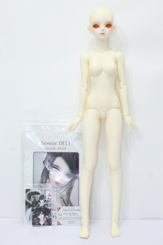 S230222-322 LUTS/Senior Delf:ANI - ドーリーテリア