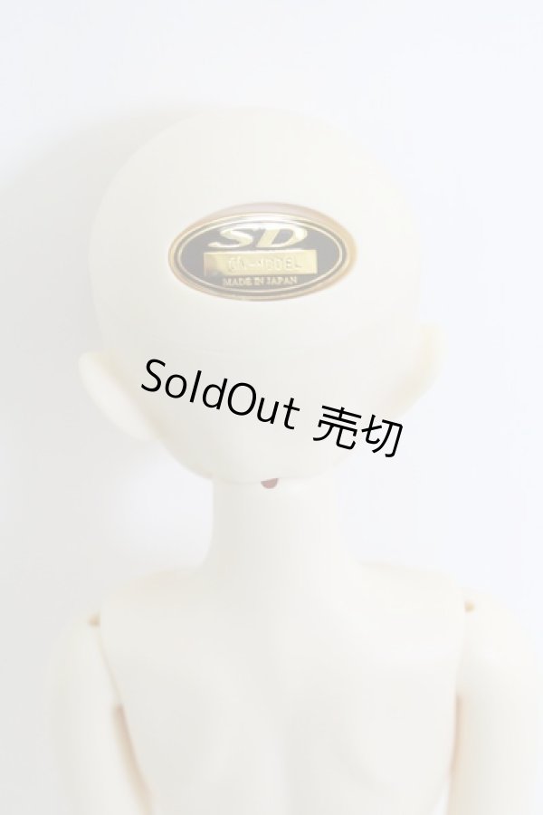 画像4: SDMBOY/コーディネートモデル：F-20 I-23-09-24-010-TO-ZI (4)