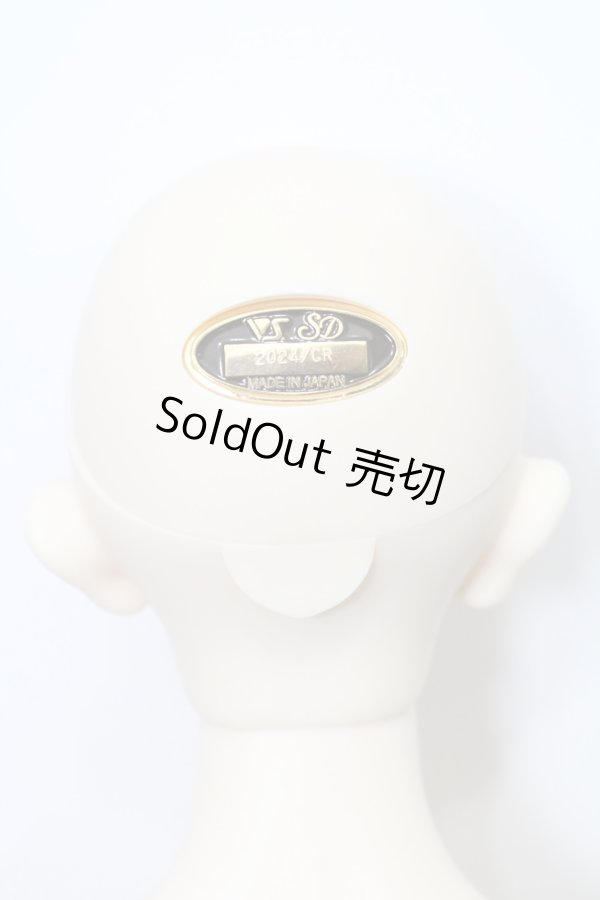 画像5: SD17男の子/レイズナー〜The Shadow of Captain II〜 S-24-12-15-070-GN-ZS (5)