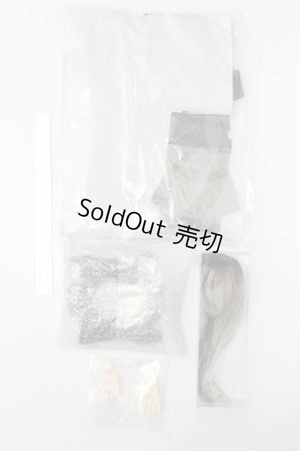 画像9: SD17男の子/レイズナー〜The Shadow of Captain II〜 S-24-12-15-070-GN-ZS (9)