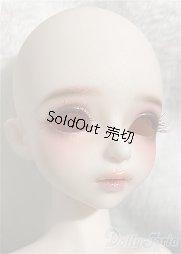 画像5: 【DOLK×MYOU DOLL】Zuzana - Literature Limited/BJD　球体関節人形 A-25-02-05-194-KD-ZA (5)