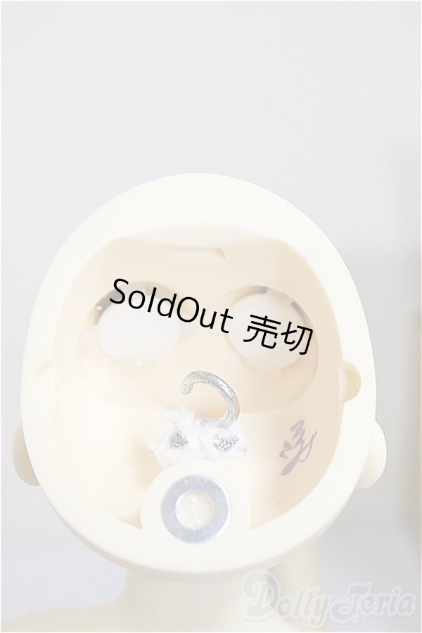 画像11: SDGｒ男の子/F-88　ワンオフモデル　つきみ様メイク/BJD　球体関節人形 A-26-01-04-399-NY-ZA (11)