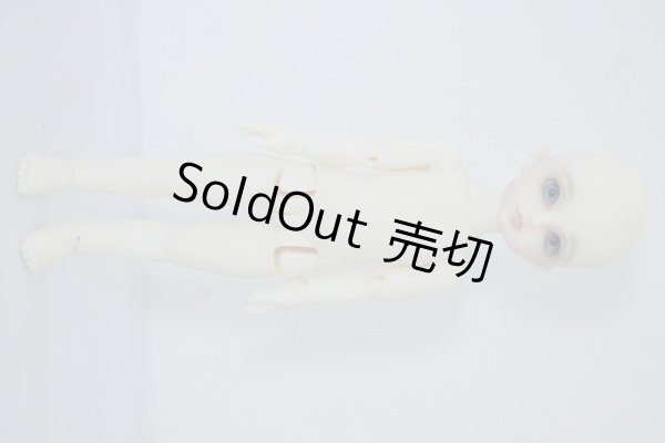 画像5: 幼SD/リトルアリス U-23-12-20-205-TN-ZU (5)