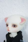 画像3: LUTS/ZUZU delf/LIO The PirAte Limited A-24-07-31-1133-TN-ZU (3)