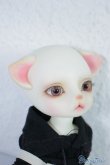 画像4: LUTS/ZUZU delf/LIO The PirAte Limited A-24-07-31-1133-TN-ZU (4)