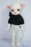 画像5: LUTS/ZUZU delf/LIO The PirAte Limited A-24-07-31-1133-TN-ZU (5)