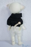 画像6: LUTS/ZUZU delf/LIO The PirAte Limited A-24-07-31-1133-TN-ZU (6)