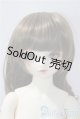 画像: SDGIRL/リーゼロッテ　BEST　of the bests U-26-01-04-217-TO-ZU
