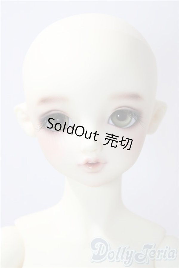 画像2: SDGIRL/リーゼロッテ　BEST　of the bests U-26-01-04-217-TO-ZU (2)