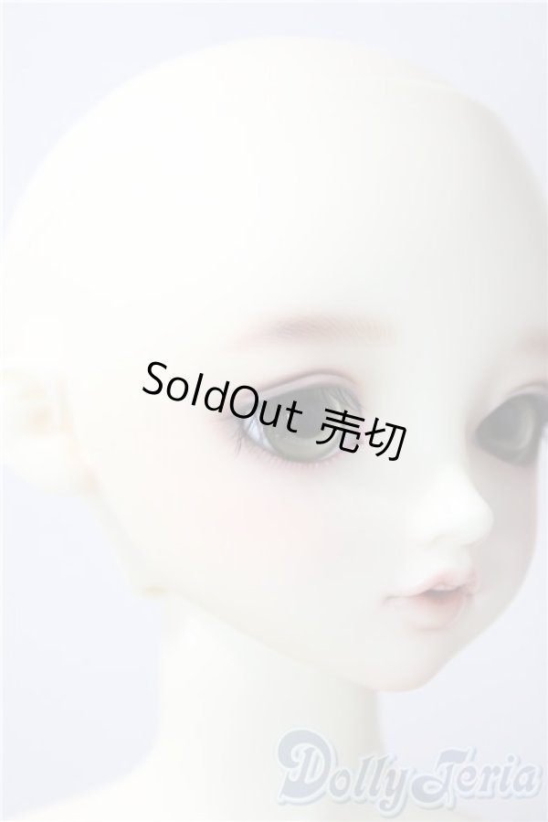 画像3: SDGIRL/リーゼロッテ　BEST　of the bests U-26-01-04-217-TO-ZU (3)