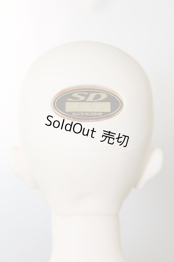 画像5: SDＧrB/フルチョイスF-57 U-24-03-06-215-TN-ZU (5)