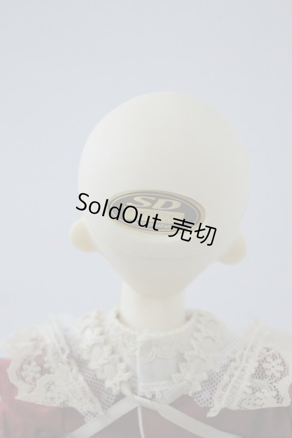 画像5: MSD女の子/ワンオフF-24Ciera様 U-23-11-01-212-TN-ZU (5)