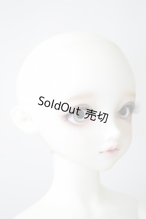 画像4: SDGIRL/リーゼロッテ the Best of the Bests Ver.2019 U-23-12-06-216-KN-ZU (4)