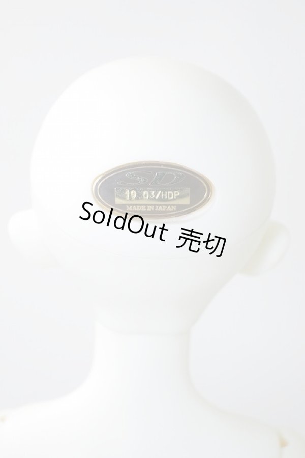 画像5: SDGIRL/リーゼロッテ the Best of the Bests Ver.2019 U-23-12-06-216-KN-ZU (5)