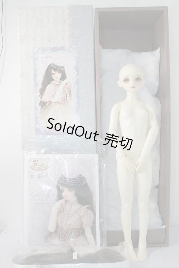 画像7: SDGIRL/リーゼロッテ the Best of the Bests Ver.2019 U-23-12-06-216-KN-ZU (7)