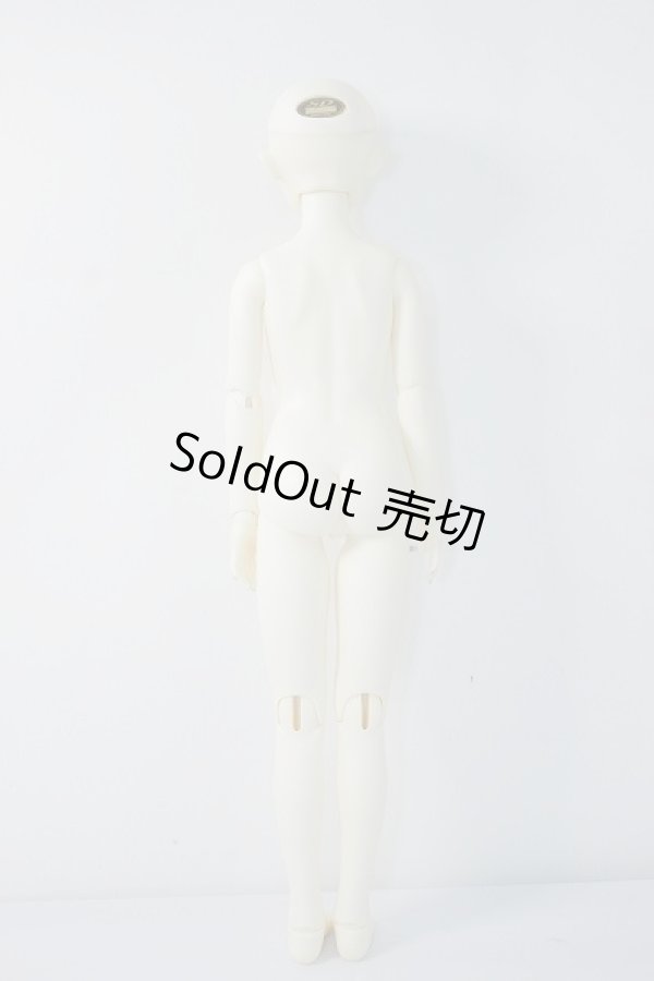 画像8: SDGIRL/リーゼロッテ the Best of the Bests Ver.2019 U-23-12-06-216-KN-ZU (8)