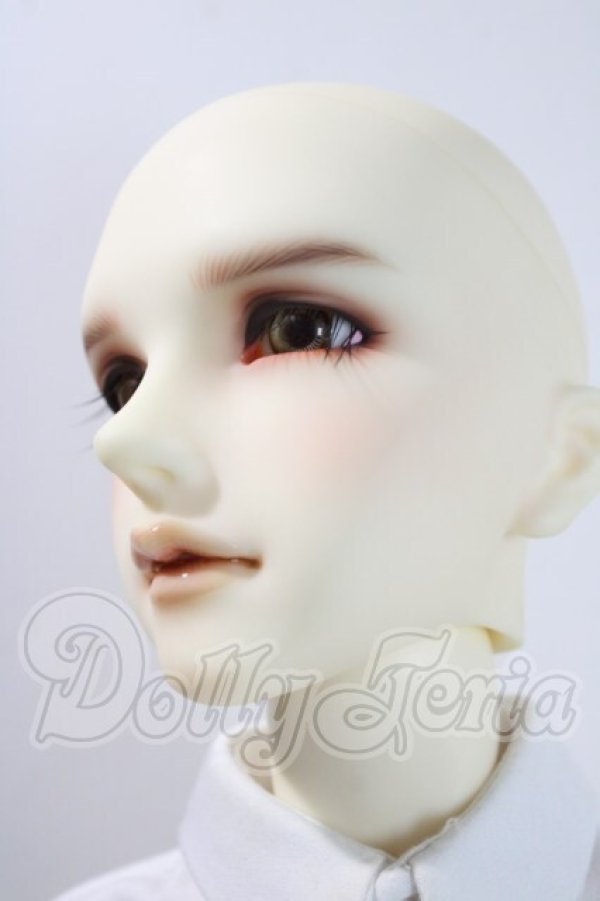 画像4: SDGrB/F-38：フルチョイス推薦メイク U-26-07-08-211-TN-ZU (4)