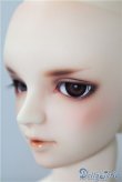 画像4: SDGr男の子/フルチョイスF-40：PSエバービューティー U-24-12-24-218-TN-ZU (4)