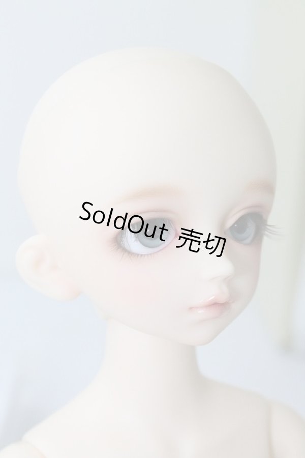 画像4: SDMIDI／トッピ U-23-10-25-095-TN-ZU (4)