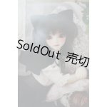 画像: SDC/黒猫ルネ U-24-02-28-213-TN-ZU
