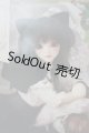 画像: SDC/黒猫ルネ U-24-02-28-213-TN-ZU
