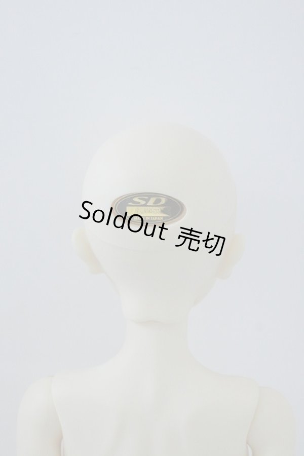 画像5: SDBOY/フルチョイスF-75里限定推薦メイク U-23-11-15-213-TN-ZU (5)