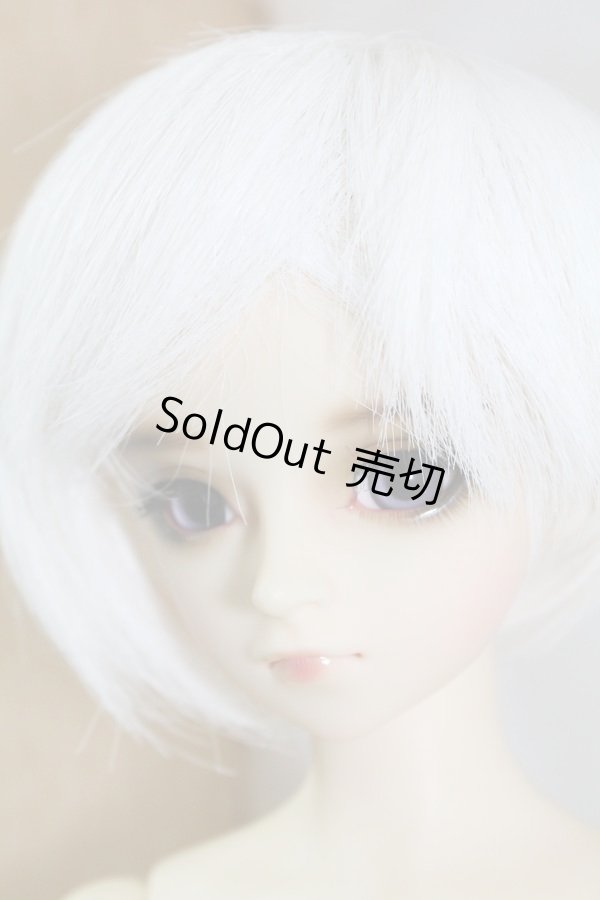 画像3: SD13B/F-35ワンオフmayura様 U-23-11-15-214-TN-ZU (3)